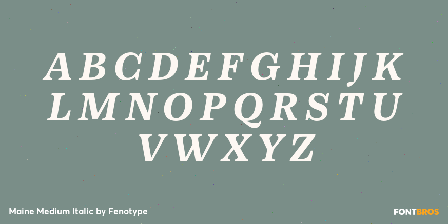Maine Medium Italic Font Poster #1