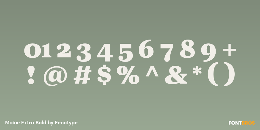 Maine Extra Bold Font Poster #4