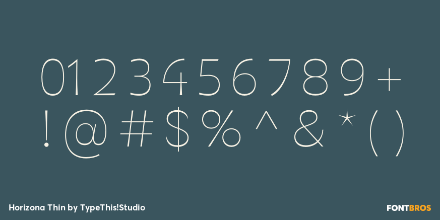 Horizona Thin Font Poster #4