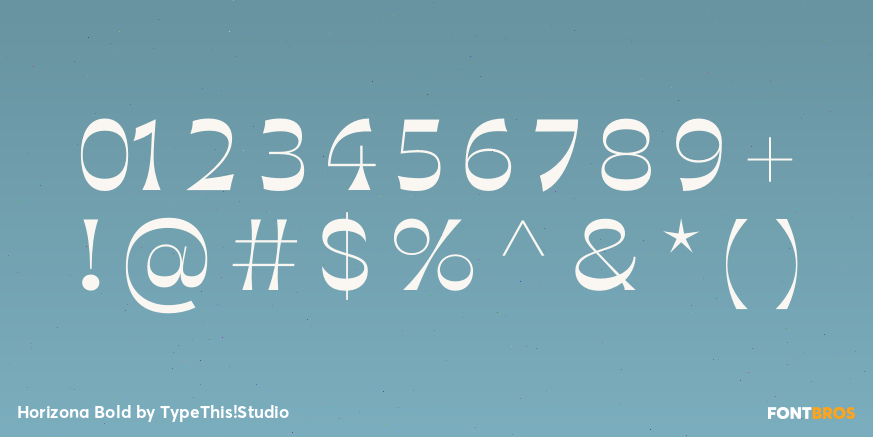 Horizona Bold Font Poster #4