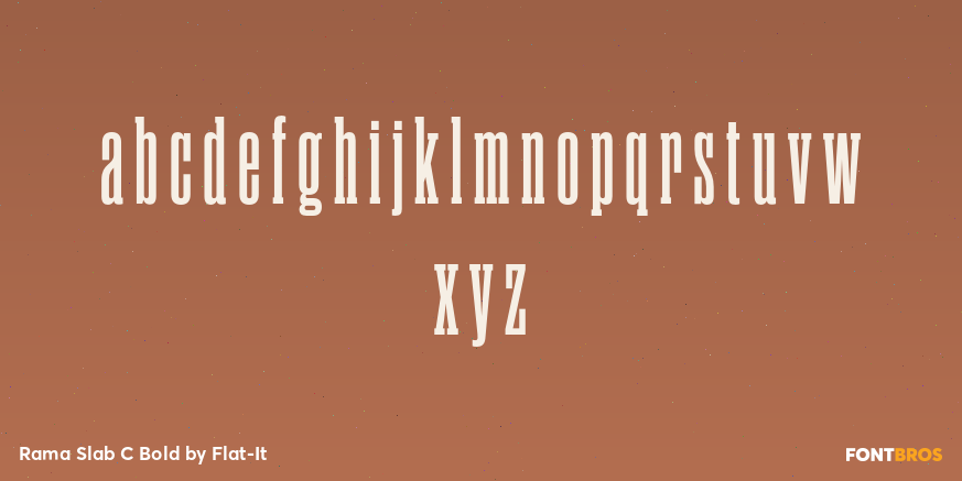 Rama Slab C Bold Font Poster #1