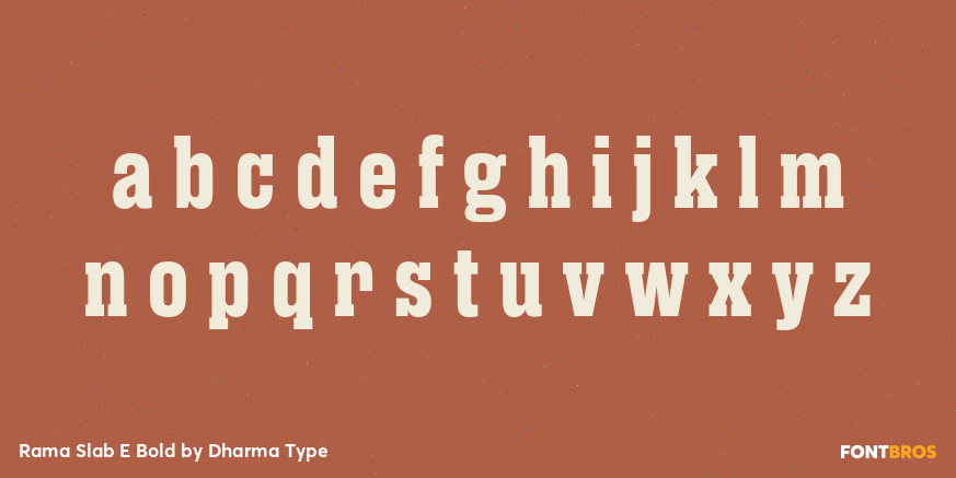 Rama Slab E Bold Font Poster #3
