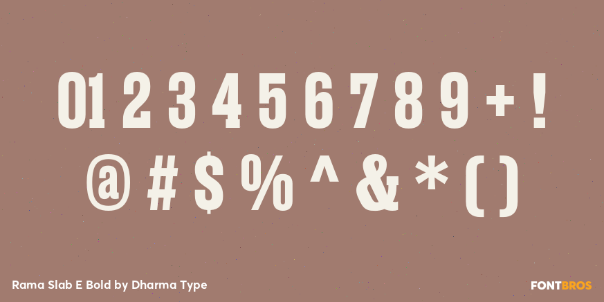 Rama Slab E Bold Font Poster #4