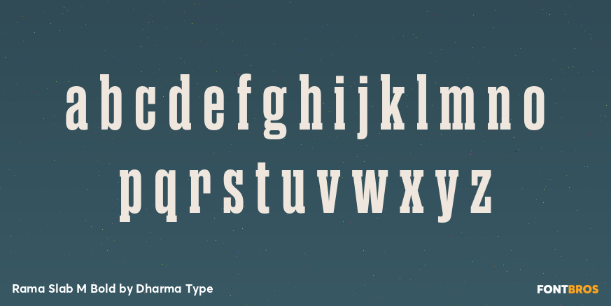 Rama Slab M Bold Font Poster #3