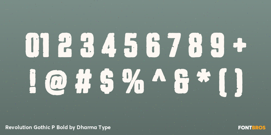 Revolution Gothic P Bold Font Poster #4