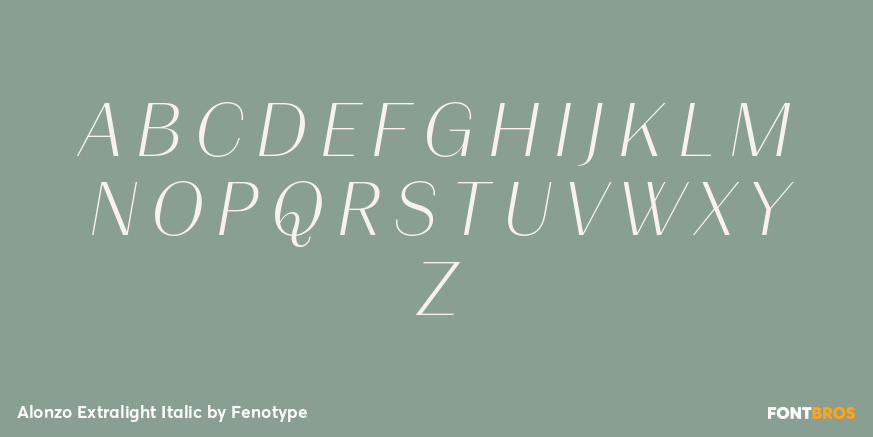 Alonzo Extralight Italic Font Poster #1