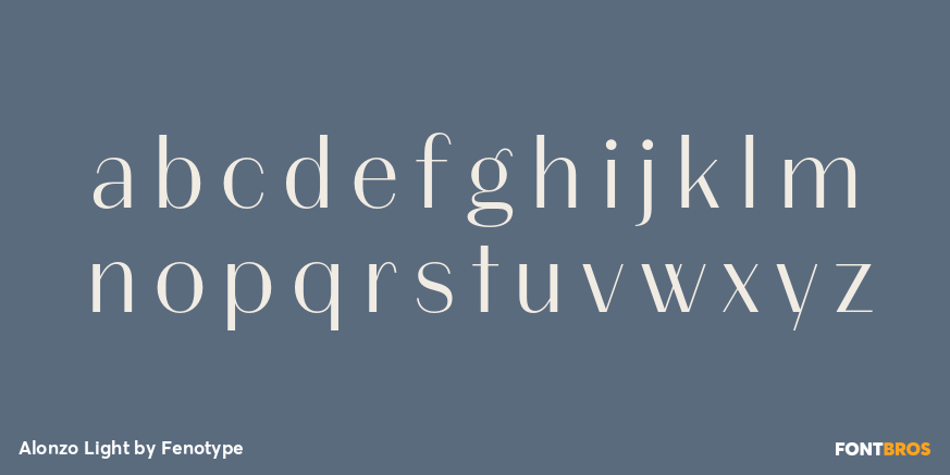 Alonzo Light Font Poster #3