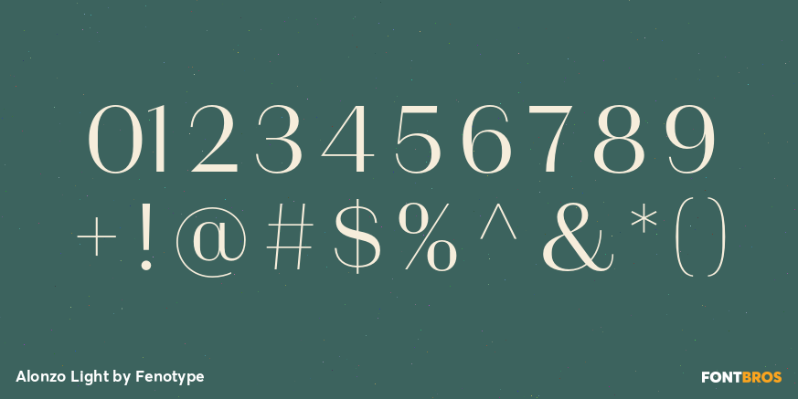 Alonzo Light Font Poster #4