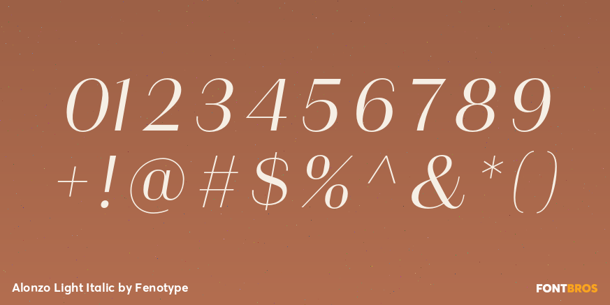 Alonzo Light Italic Font Poster #1