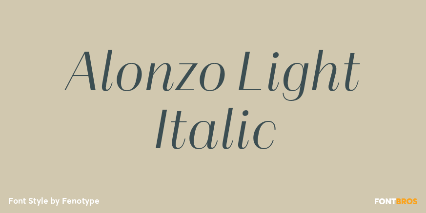 Alonzo Light Italic Font Poster #1