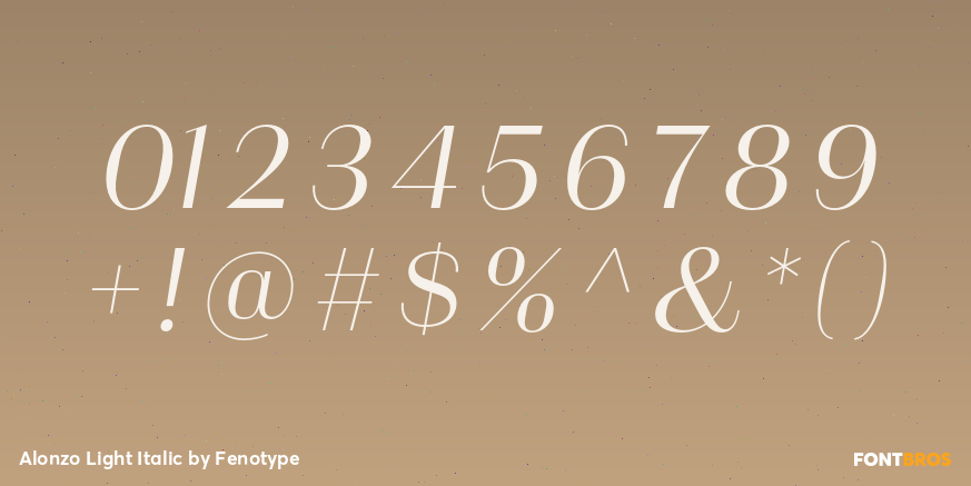 Alonzo Light Italic Font Poster #4