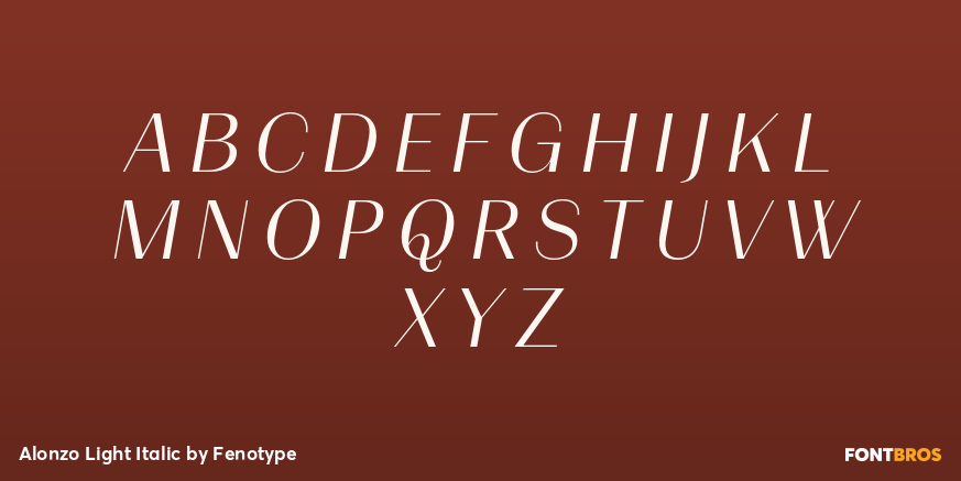 Alonzo Light Italic Font Poster #1