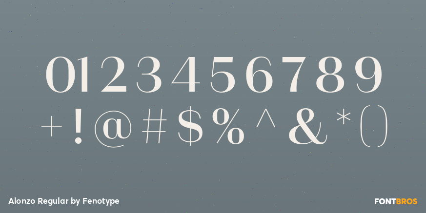 Alonzo Regular Font Poster #1