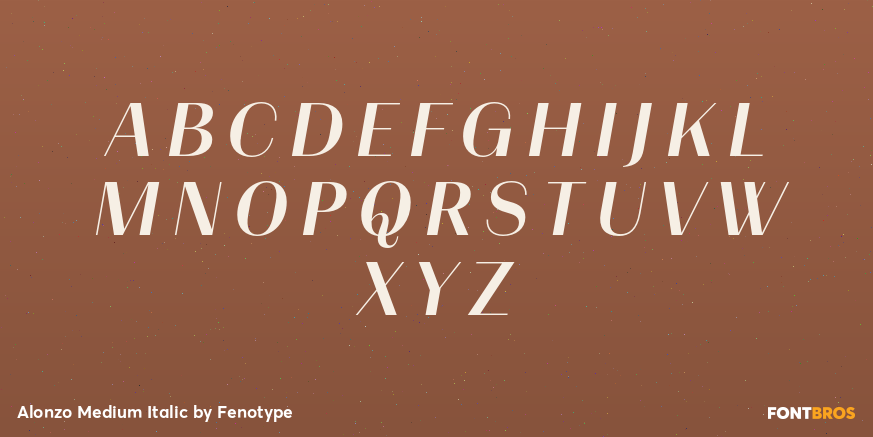 Alonzo Medium Italic Font Poster #2