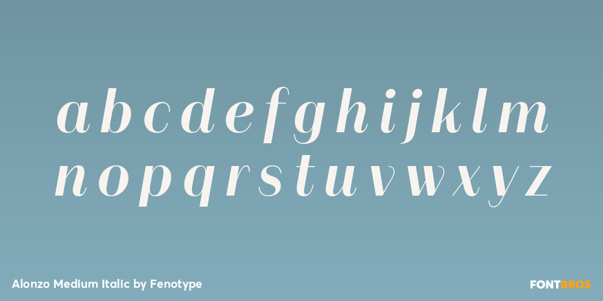 Alonzo Medium Italic Font Poster #3