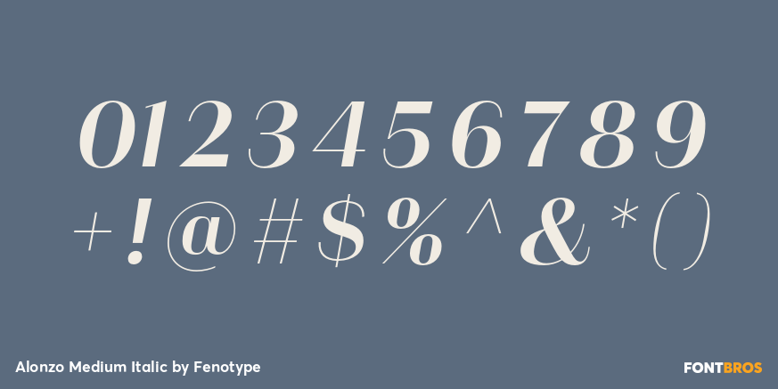 Alonzo Medium Italic Font Poster #4