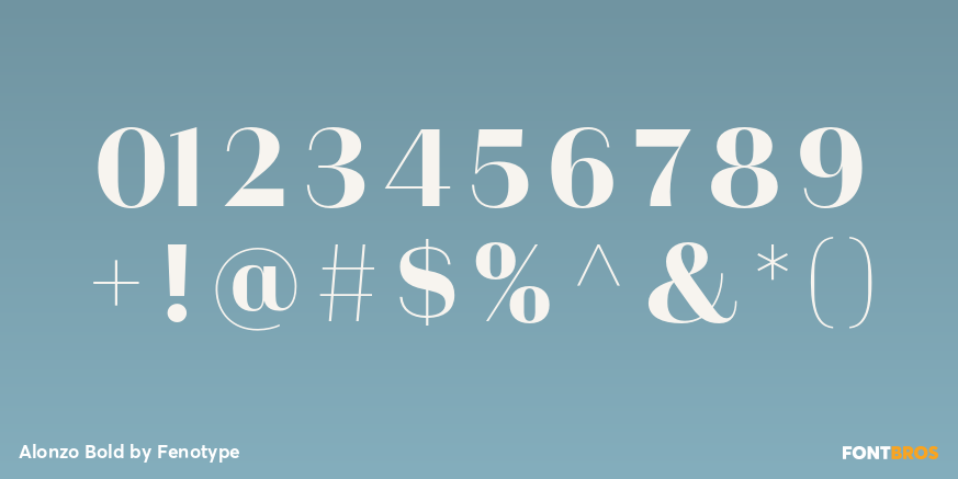 Alonzo Bold Font Poster #4
