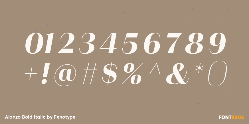 Alonzo Bold Italic Font Poster #1