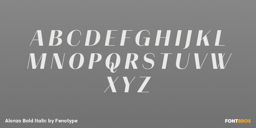 Alonzo Bold Italic Font Poster #1