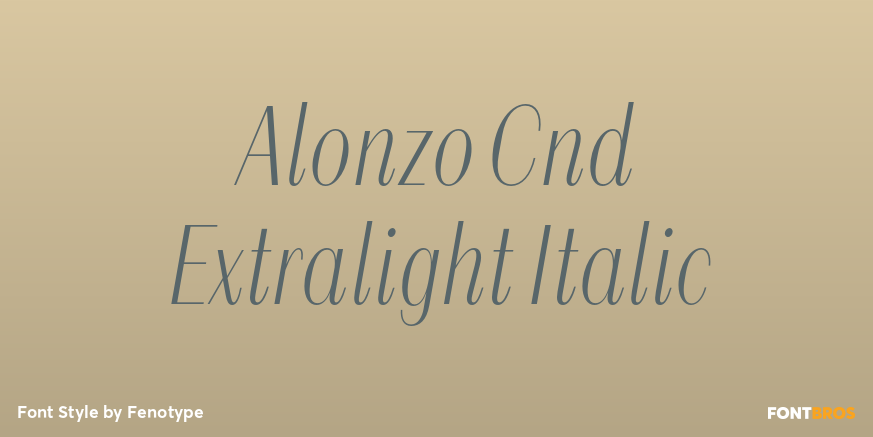 Alonzo Cnd Extralight Italic Poster
