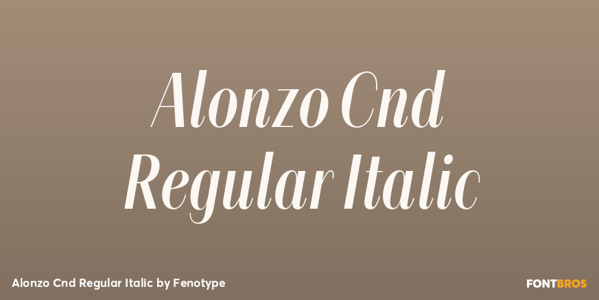 Alonzo Cnd Regular Italic Poster