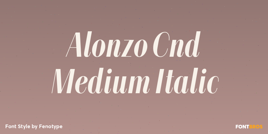 Alonzo Cnd Medium Italic Poster