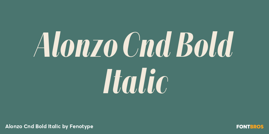 Alonzo Cnd Bold Italic Poster