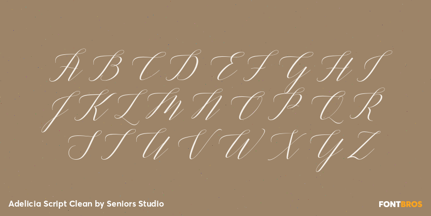Adelicia Script Clean Font Poster #2