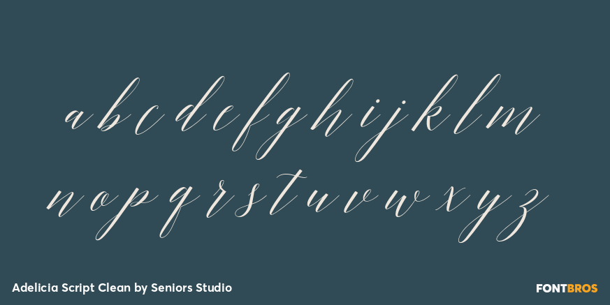 Adelicia Script Clean Font Poster #3