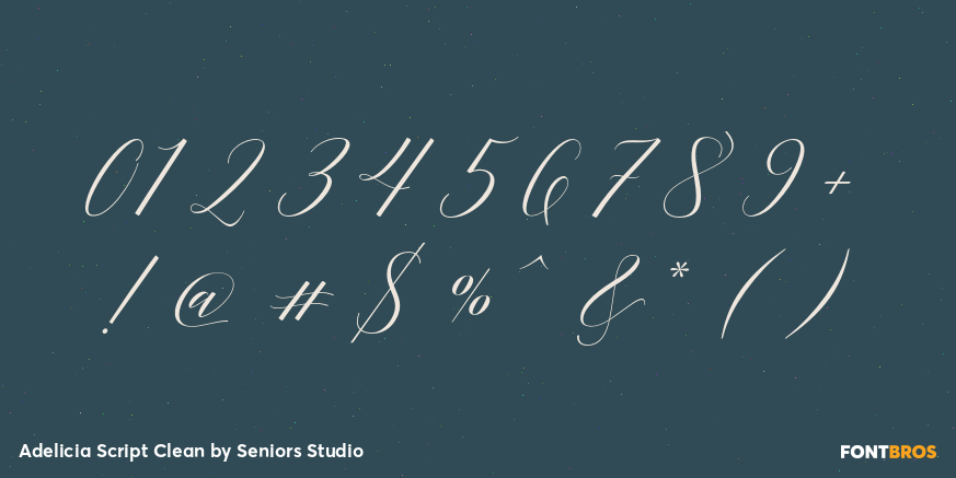Adelicia Script Clean Font Poster #4
