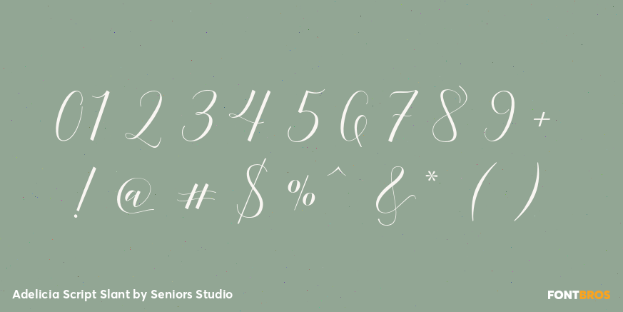 Adelicia Script Slant Font Poster #1