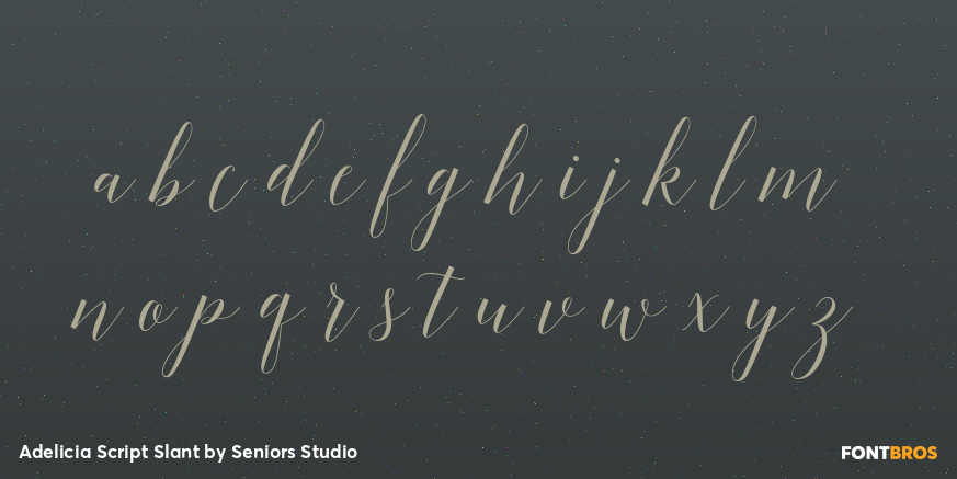 Adelicia Script Slant Font Poster #3