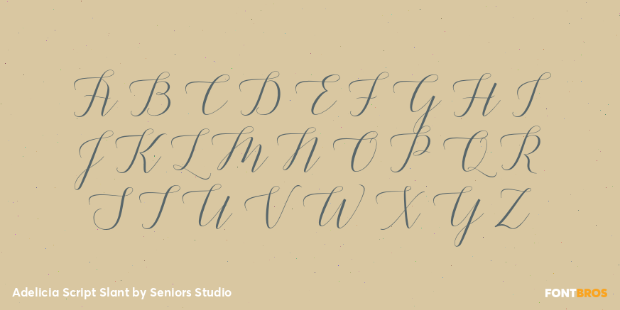 Adelicia Script Slant Font Poster #1