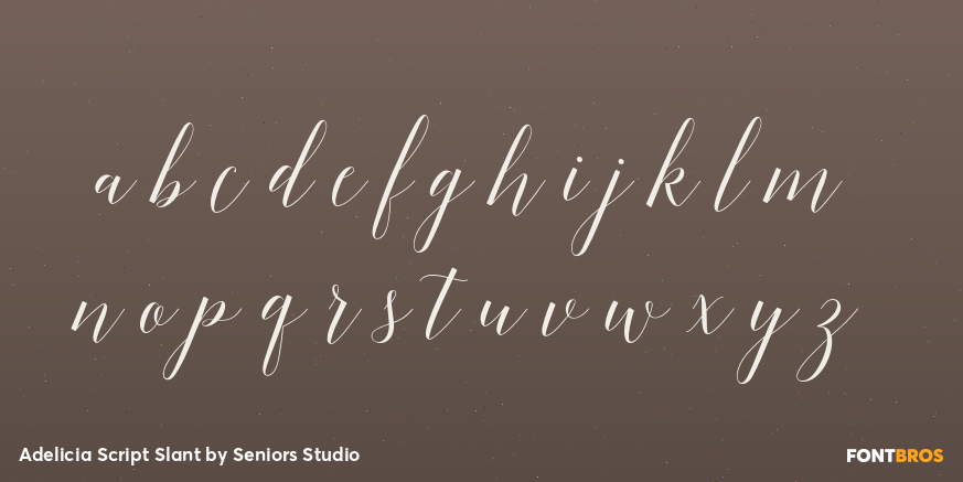 Adelicia Script Slant Font Poster #1