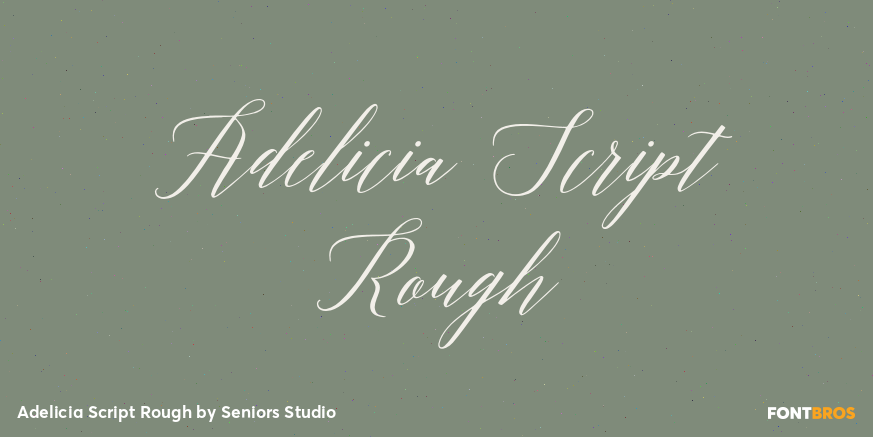 Adelicia Script Rough Font Poster #1