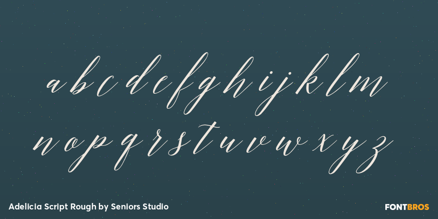 Adelicia Script Rough Font Poster #3