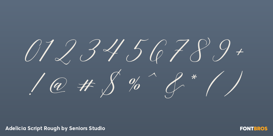 Adelicia Script Rough Font Poster #4