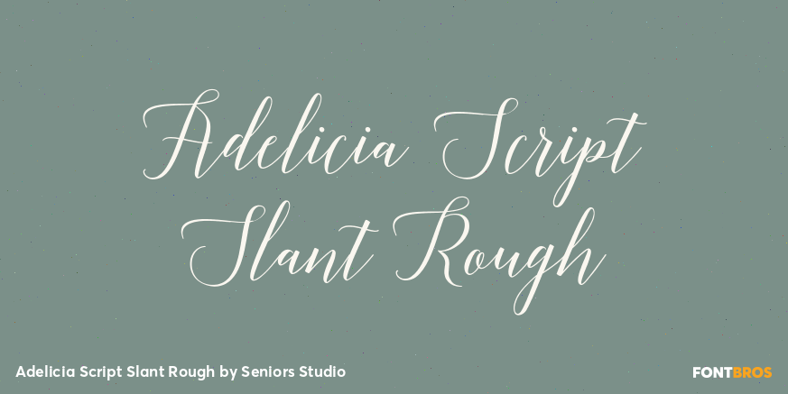 Adelicia Script Slant Rough Poster