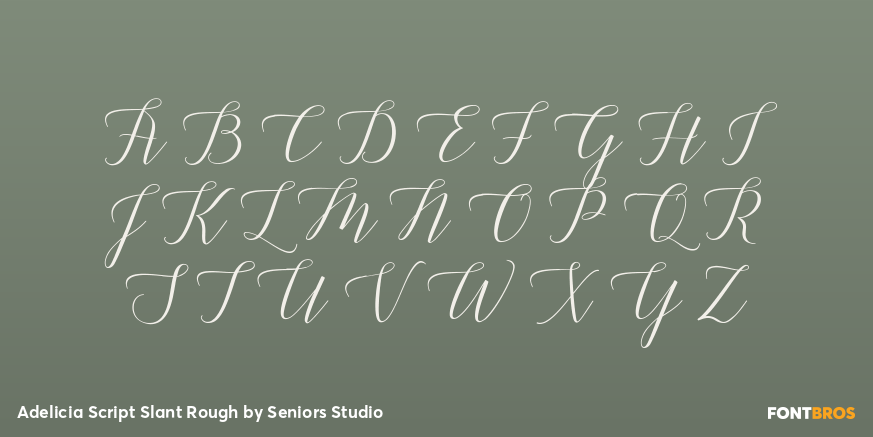 Adelicia Script Slant Rough Font Poster #2