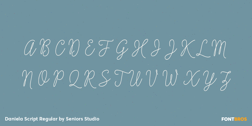 Daniela Script Regular Font Poster #2