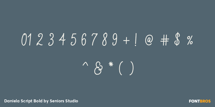 Daniela Script Bold Font Poster #4