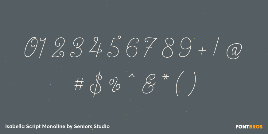 Isabella Script Monoline Font Poster #4