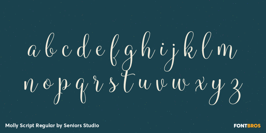 Molly Script Regular Font Poster #3