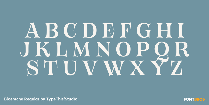 Bloemche Regular Font Poster #2