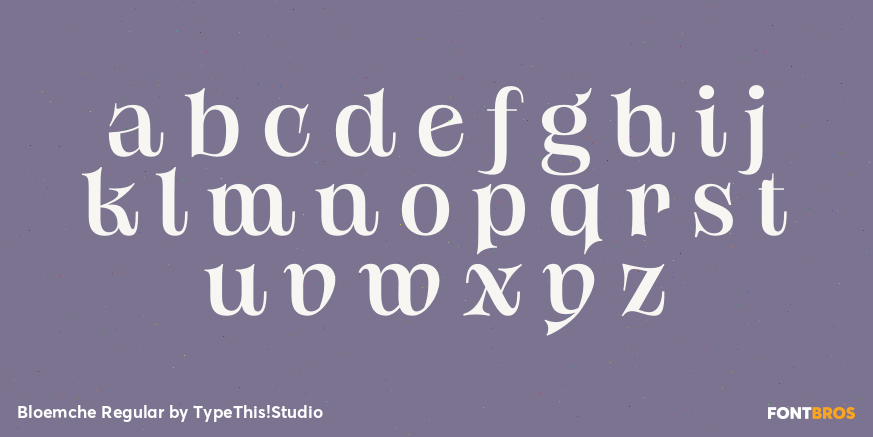 Bloemche Regular Font Poster #1