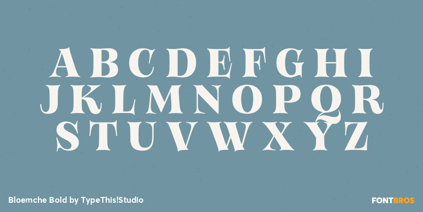 Bloemche Bold Font Poster #2