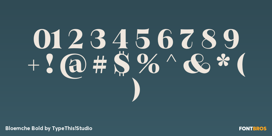 Bloemche Bold Font Poster #4