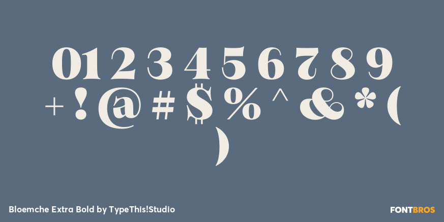 Bloemche Extra Bold Font Poster #4