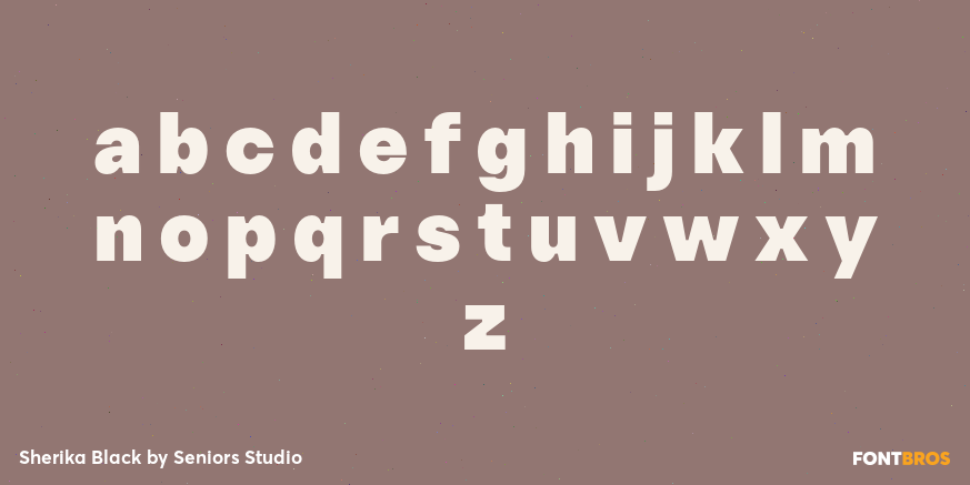 Sherika Black Font Poster #3