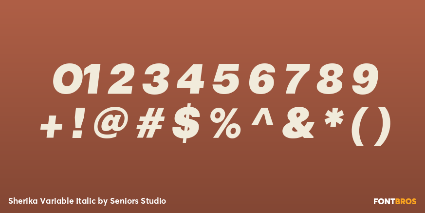 Sherika Variable Italic Font Poster #1
